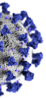 covid 19 virus illustration half slice